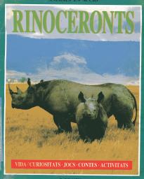 Rinoceronts
