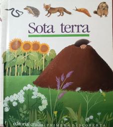 Sota terra