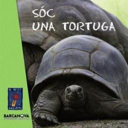 Sóc una tortuga