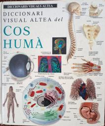 Diccionari Visual Altea del cos humà