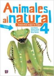 Animales al natural 4: Insectos bajo lupa