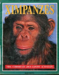 Ximpanzés