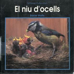 El niu d'ocells