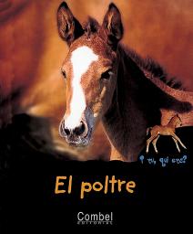 El poltre