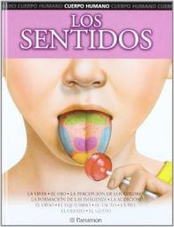 Los sentidos