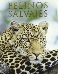 Felinos salvajes