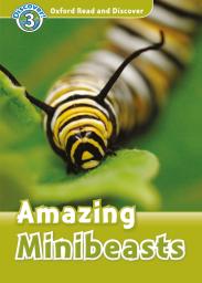 Amazing minibeasts