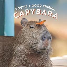 You're a good friend, capybara