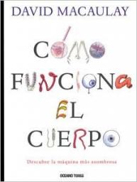 Cómo funciona el cuerpo