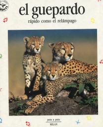 El guepardo: rápido como el relámpago