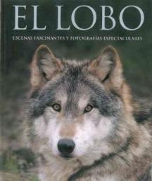 El lobo: Escenas fascinantes y fotografías espectaculares
