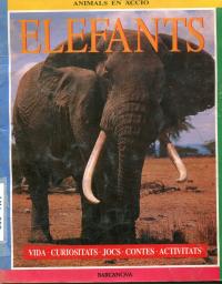Elefants