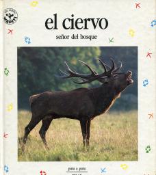 El ciervo: señor del bosque