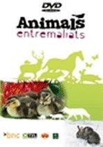 Animals entremaliats