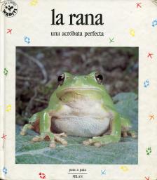La rana: una acróbata perfecta