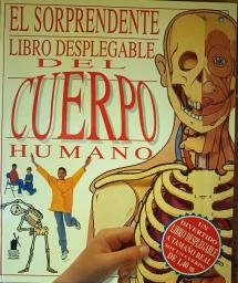 El sorprendente libro desplegable del cuerpo humano