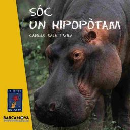 Sóc un hipopòtam