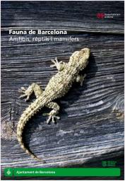 Fauna de Barcelona: Amfibis, rèptils i mamífers