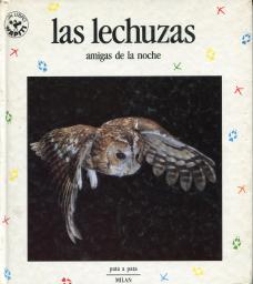 Las lechuzas: amigas de la noche