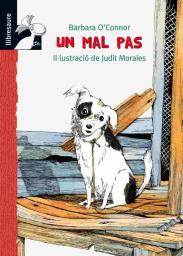 Un mal pas
