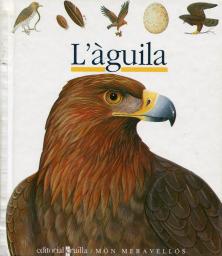 L'àguila