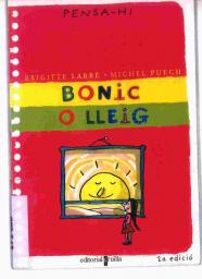 Bonic o lleig