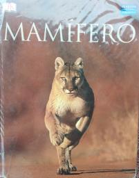 Mamífero