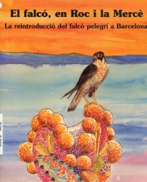 El falcó, en Roc i la Mercè: la reintroducció del falcó pelegrí a Barcelona