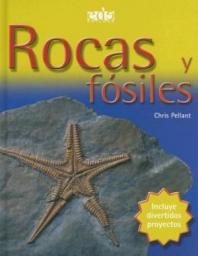 Rocas y fósiles
