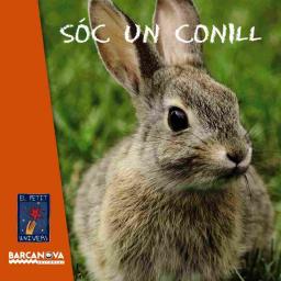 Sóc un conill