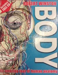 Body
