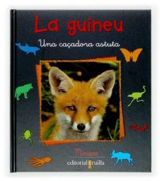 La guineu: una caçadora astuta