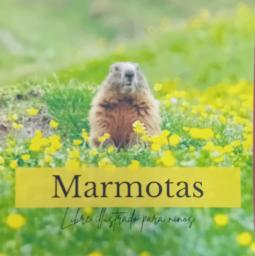 Marmotas. Libro ilustrado para niños