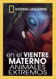 En el vientre materno: Animales extremos